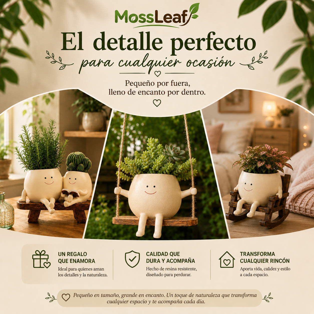 Planta Macetero Feliz