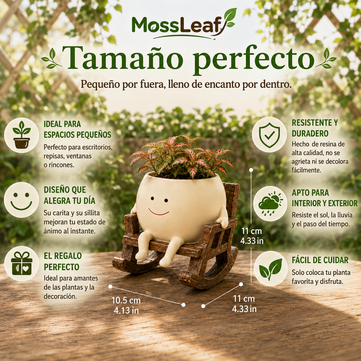 Planta Macetero Feliz